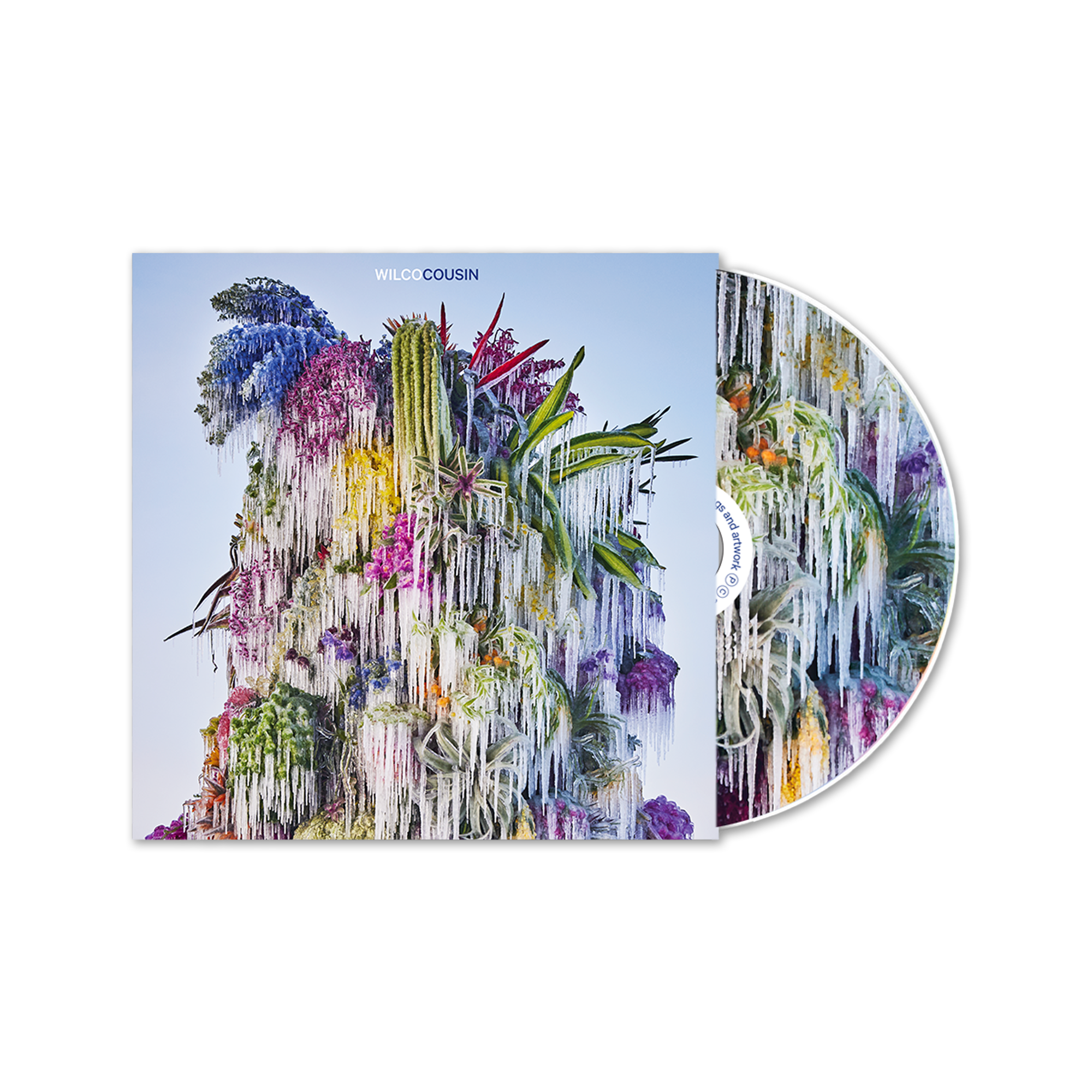 Wilco — Cousin — CD