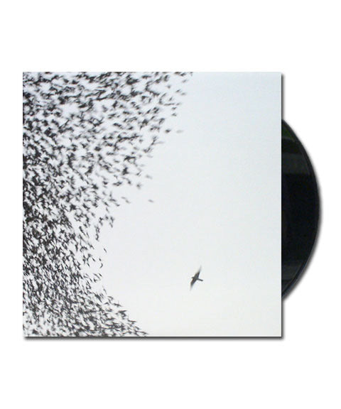 Sky Blue Sky (Black) Vinyl 2xLP