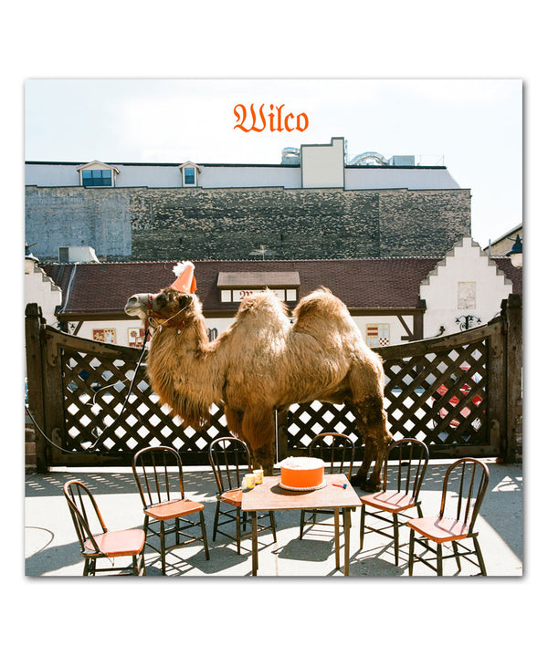 Wilco (the album) LP