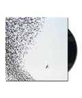 Wilco — Sky Blue Sky — 2xLP Vinyl