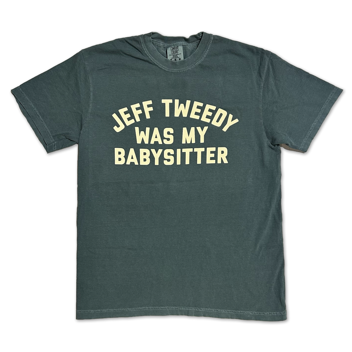 Jeff Tweedy Was My Babysitter T-shirt