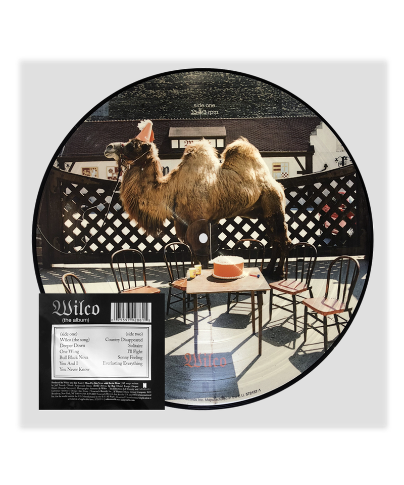 Wilco (the album) Picture Disc
